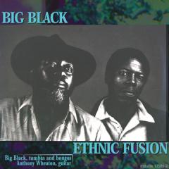 BIG BLACK / Ethnic Fusion BIG BLACK / Ethnic Fusion